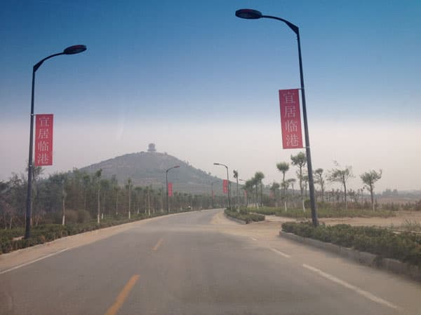 临港经济开发区道路绿化工程 2