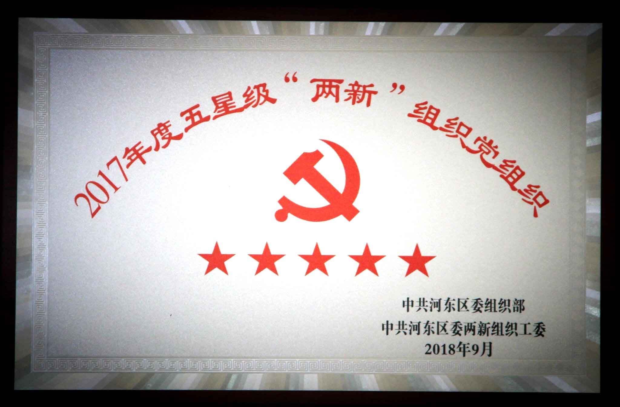 2017年度五星级“两新”组织党